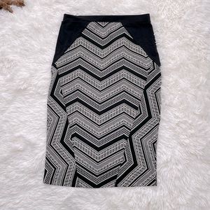 Bodycon type skirt. Black and grey.
